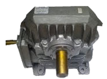 Helical Worm Gear Motor